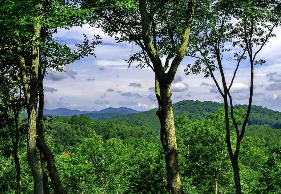 River Rock Cabin - Comfortable, Private Home with King Beds & Mountain Views Cabin in Horse Shoe