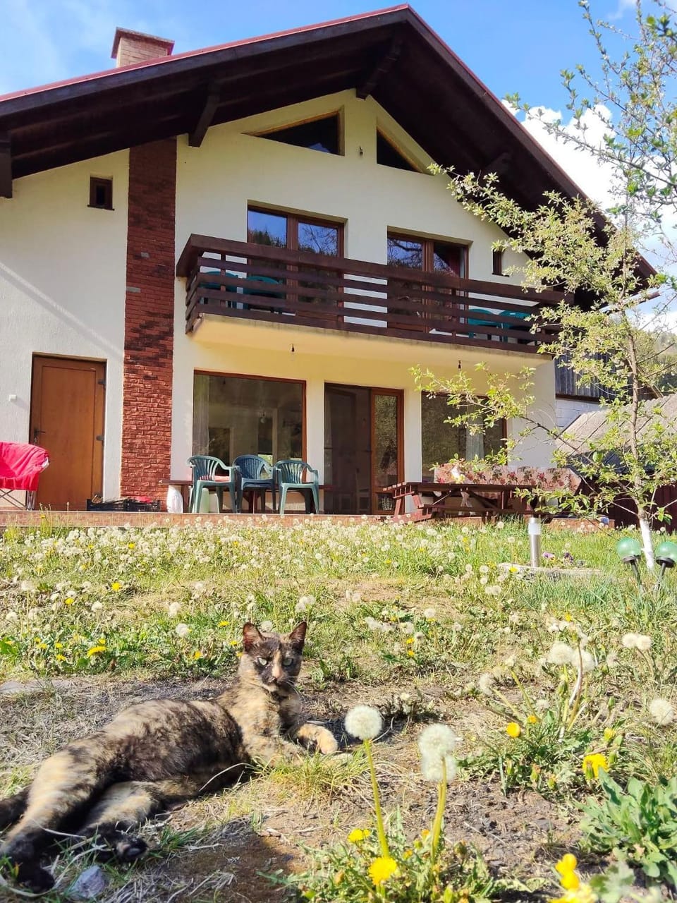 Casa Silvia Villa in Cluj County