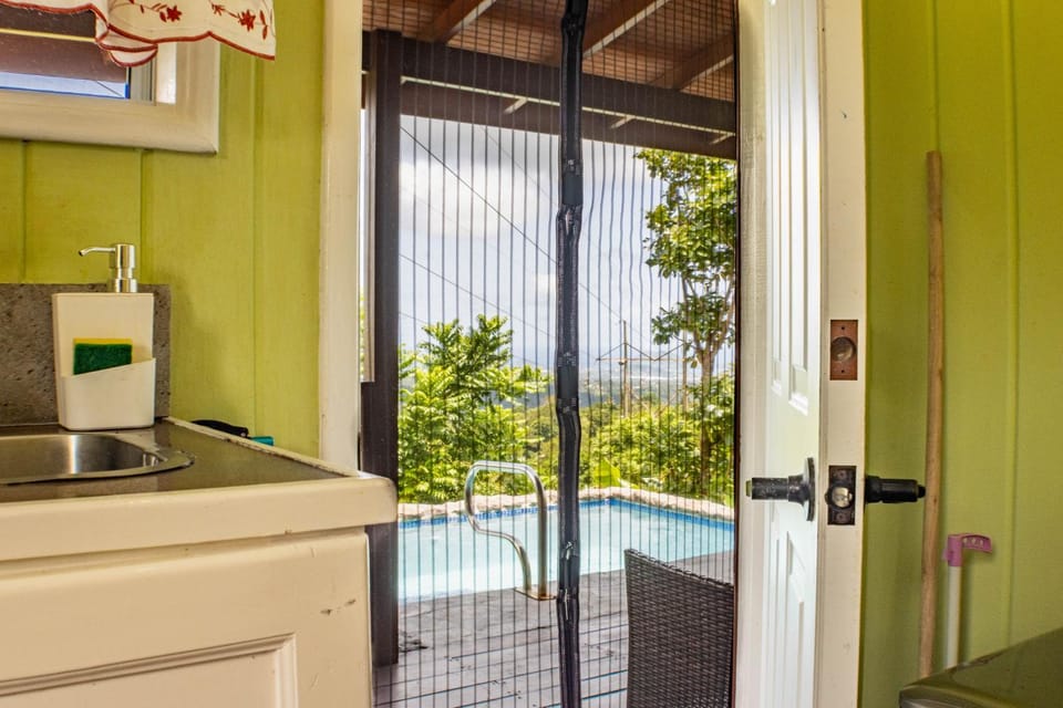 Kitchen or kitchenette, Swimming pool