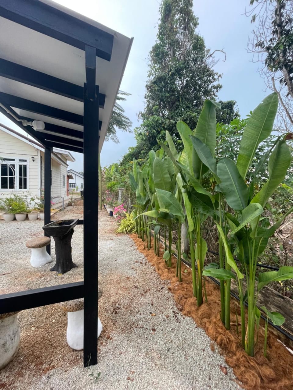 Rumah Kebun, Jerteh Besut House in Terengganu, Malaysia
