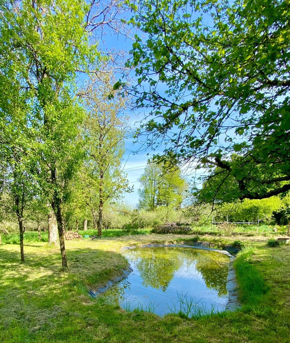 Natural landscape, Garden