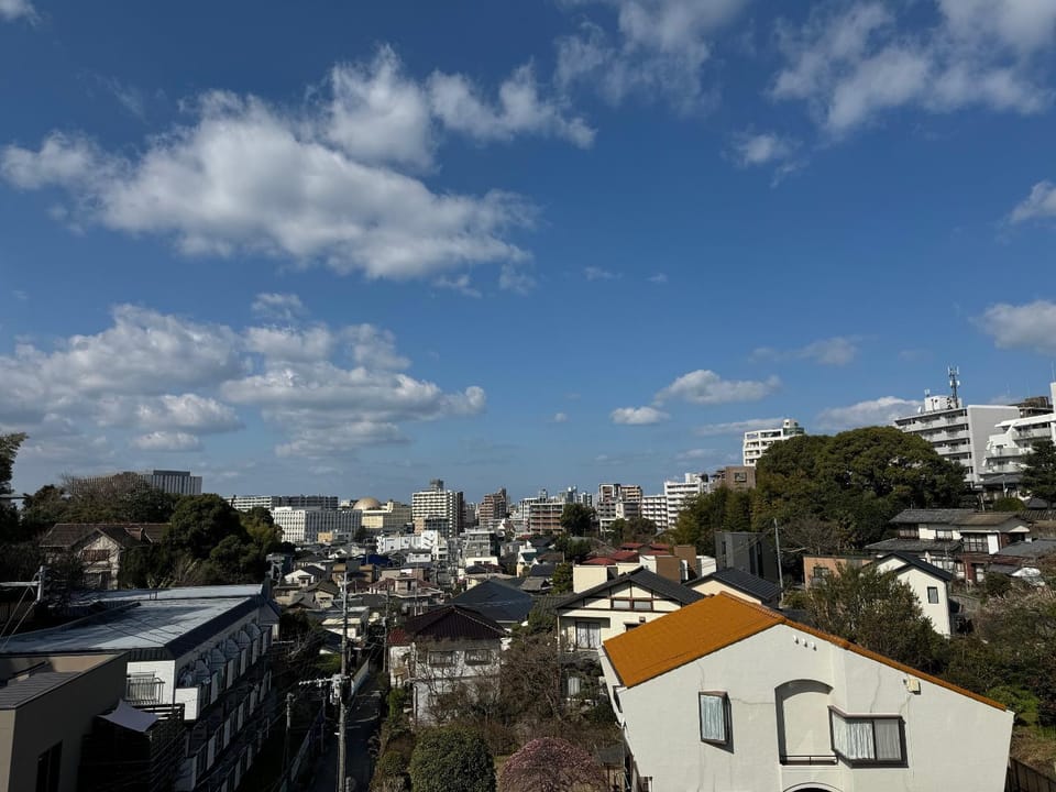 View (from property/room)
