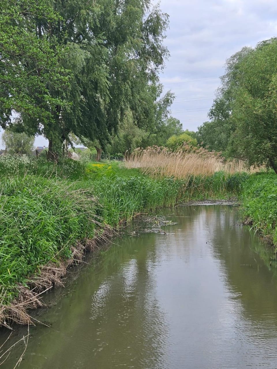 T Nest van Heeden Bed and Breakfast in Flanders