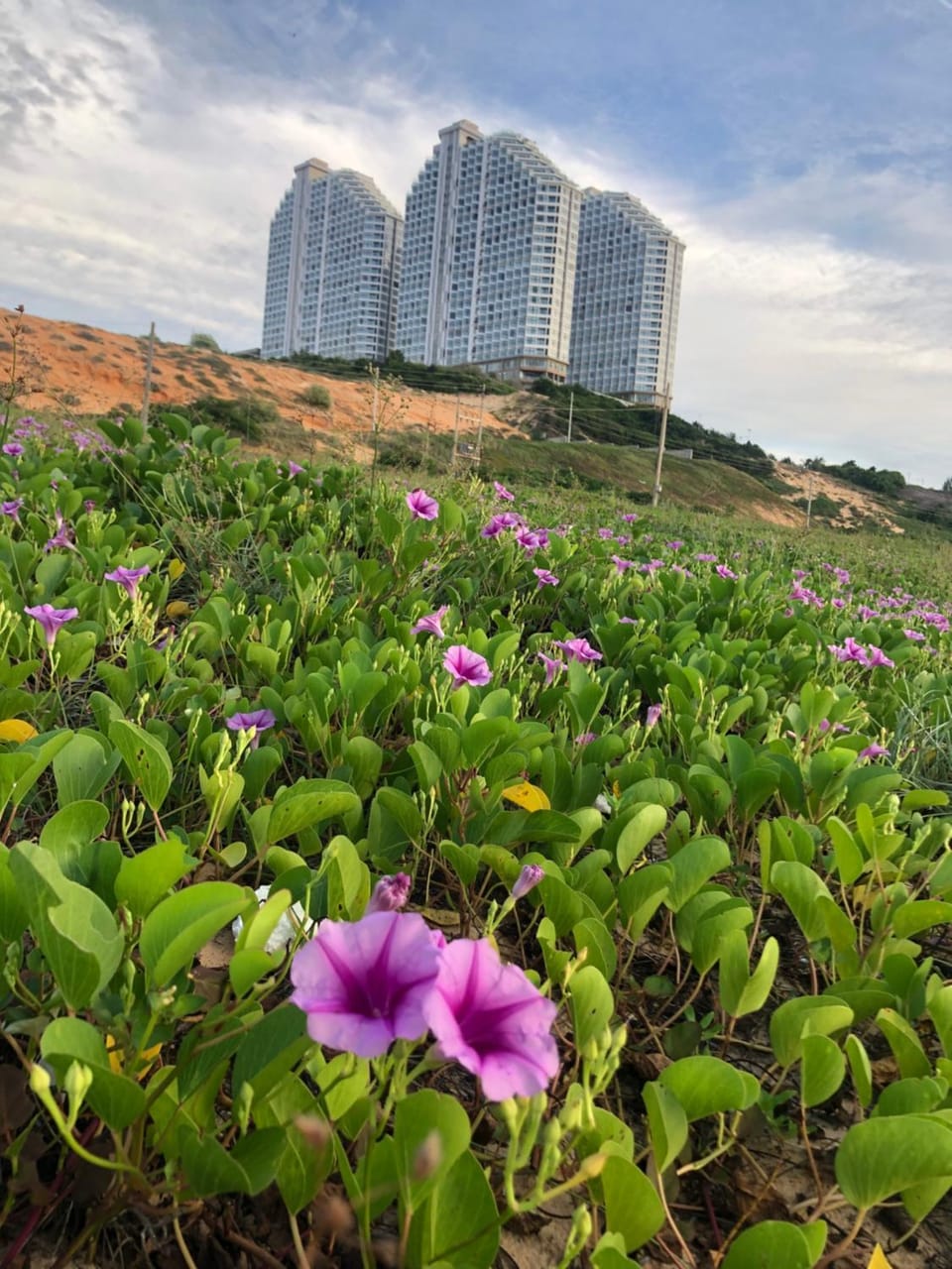 Căn hộ nghỉ dưỡng APEC - Mũi Né Apartment in Phan Thiet