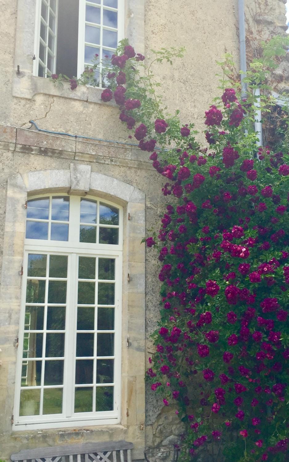L'Orangerie du Grand Jardin House in Normandy