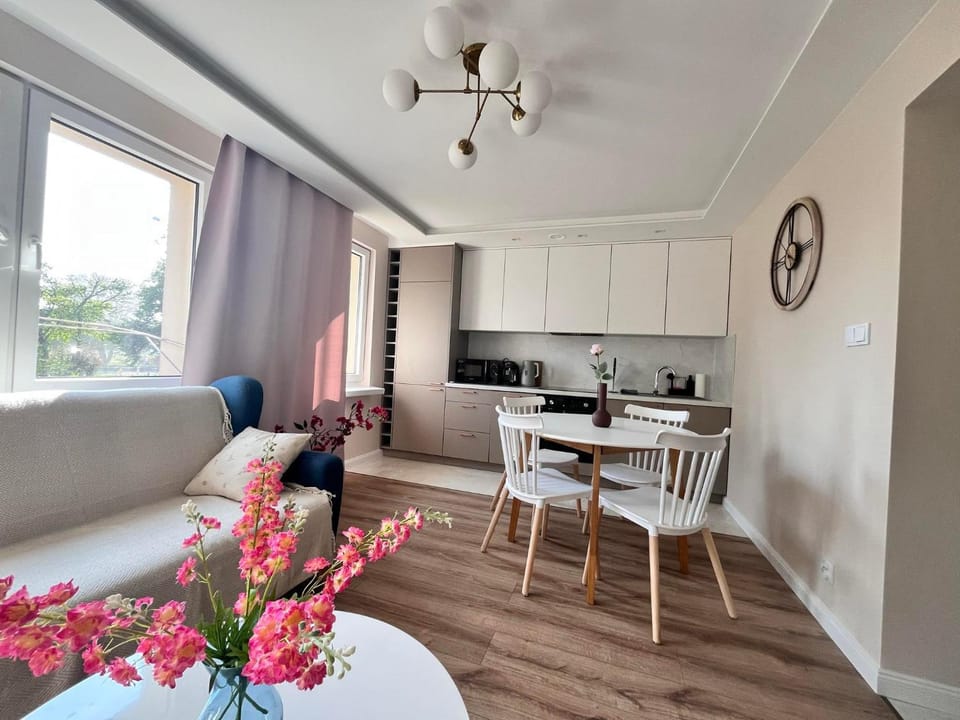 Kitchen or kitchenette, Living room, Seating area, Dining area, stove