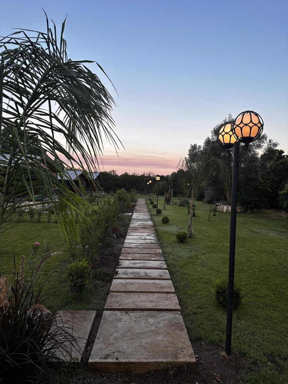 Natural landscape, Garden view, Sunset