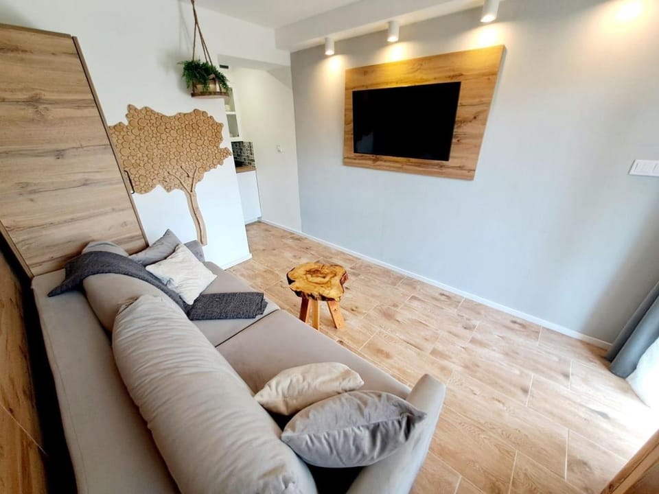 Apartament Piętnastka Ustroń Apartment in Czechia
