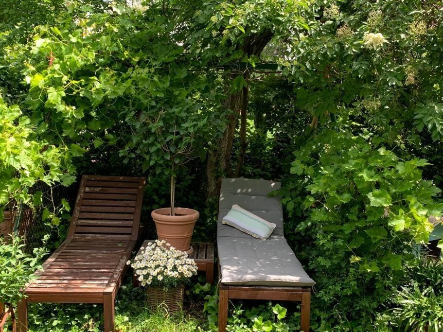 Villa guest suite near Vienna Apartment in Austria