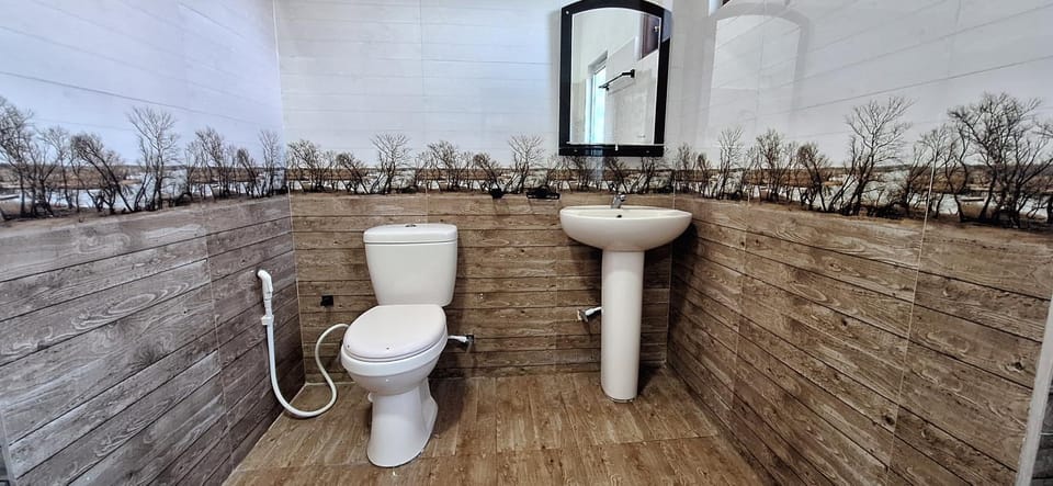 Toilet, Bathroom, bidet