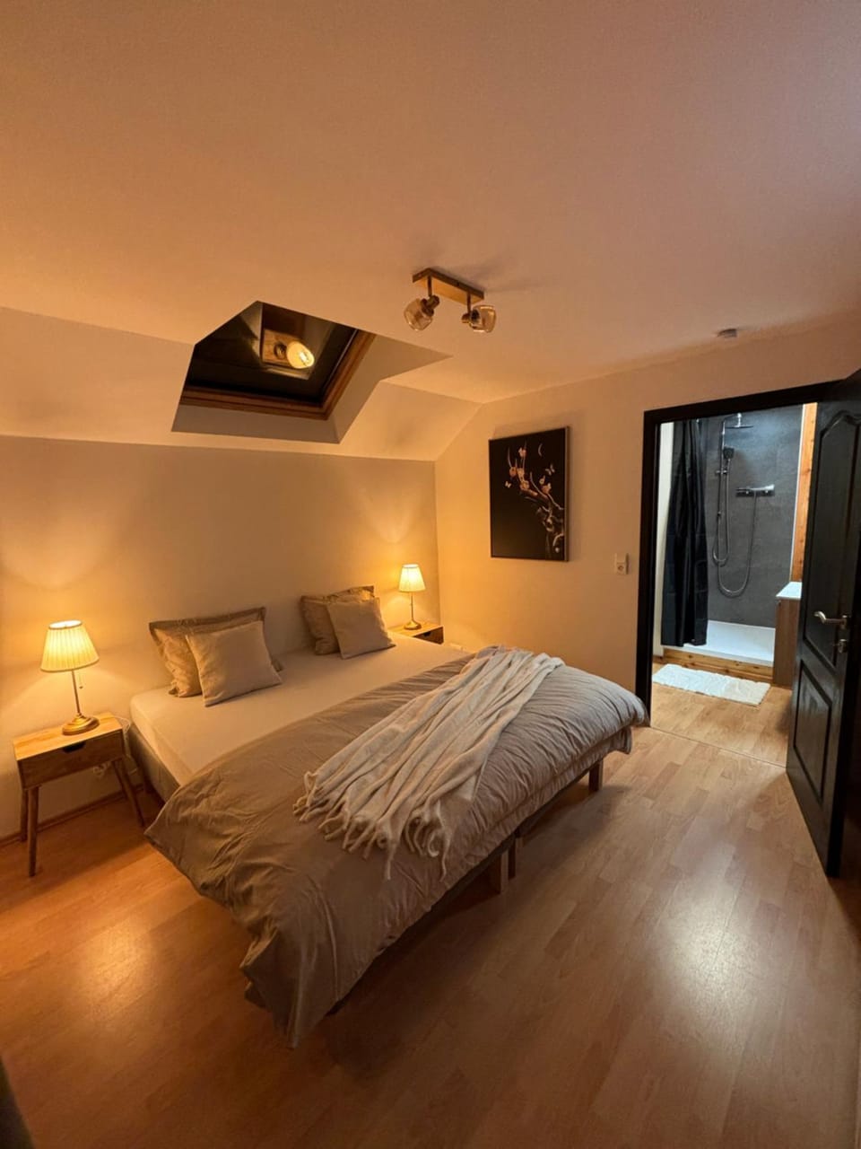 Photo of the whole room