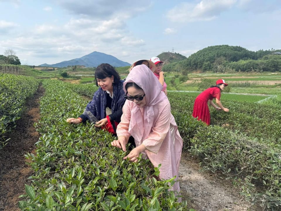 Natural landscape, group of guests