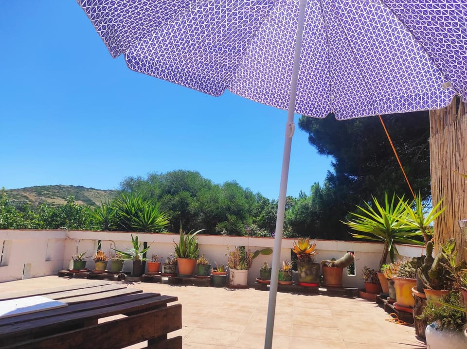 Natural landscape, Garden view