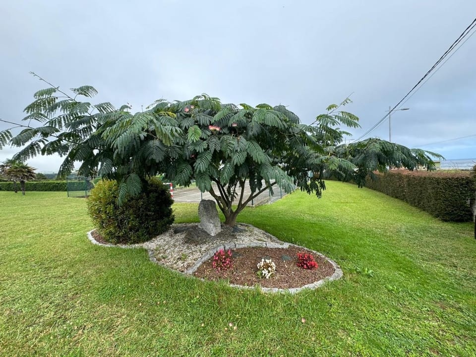 Spring, Day, Natural landscape, Garden, Garden, Garden view