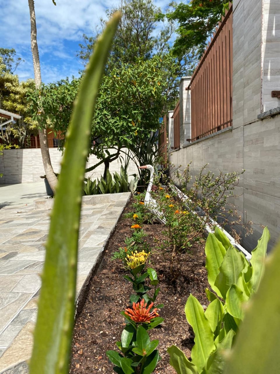 Garden, Garden view