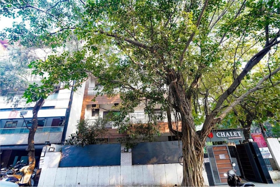 Property building, Day, Neighbourhood, Street view