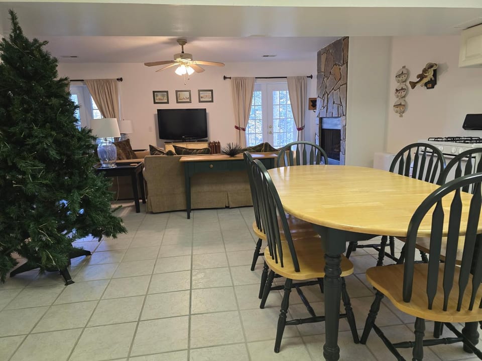 Garden, TV and multimedia, Living room, Dining area, fireplace