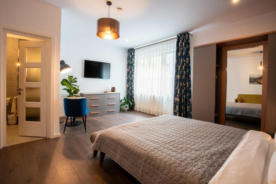 E-House Apartment Brasov Apartment in Brasov