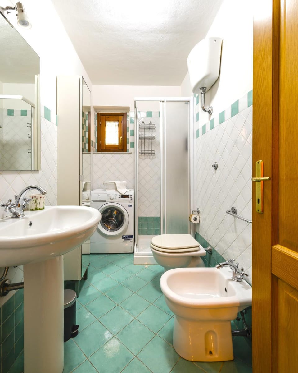 Shower, Toilet, Bathroom, bidet, washing machine