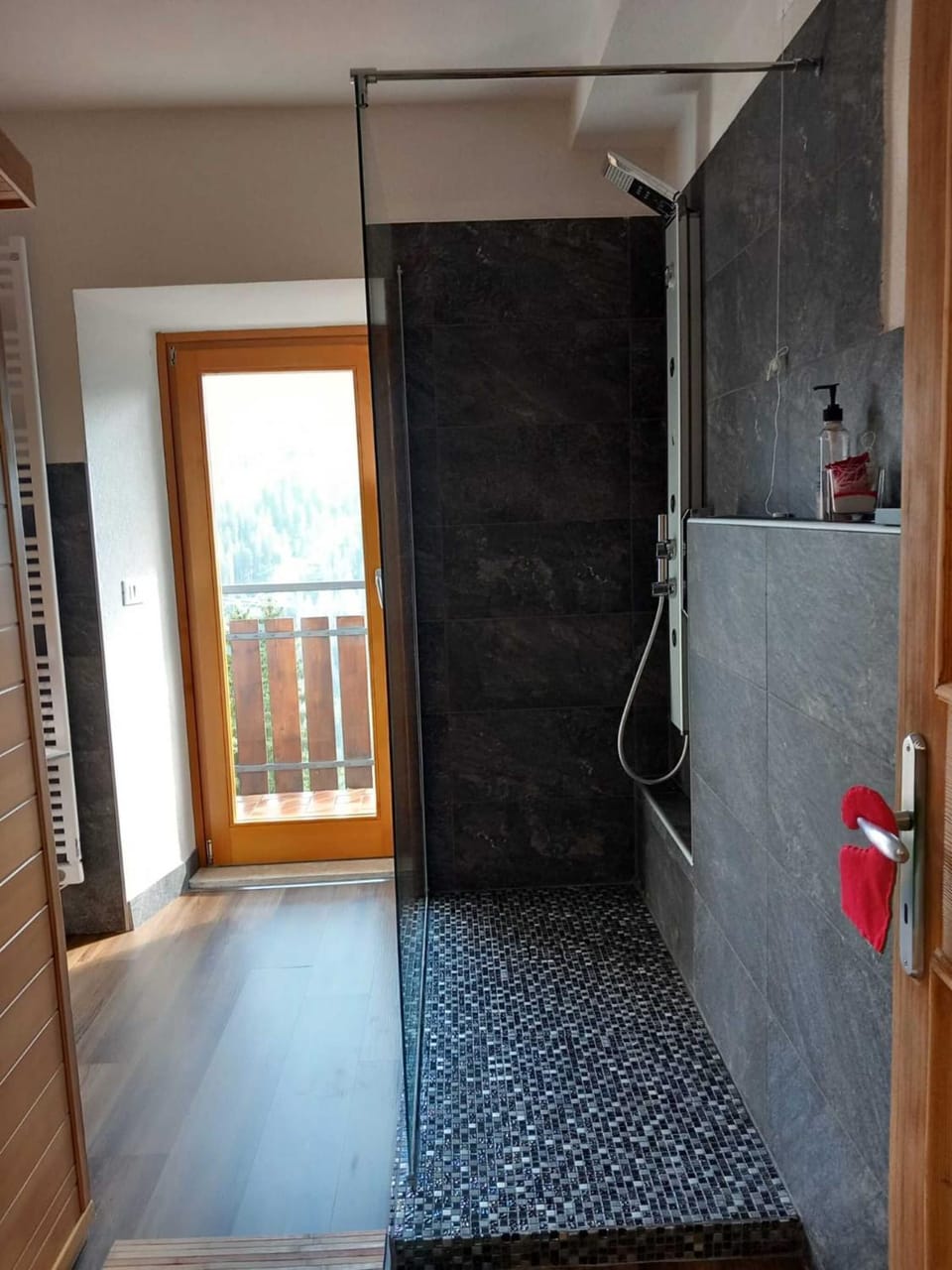 Bathroom, Living room