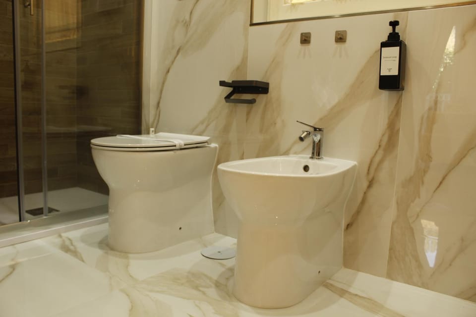 Shower, Toilet, Bathroom, bidet