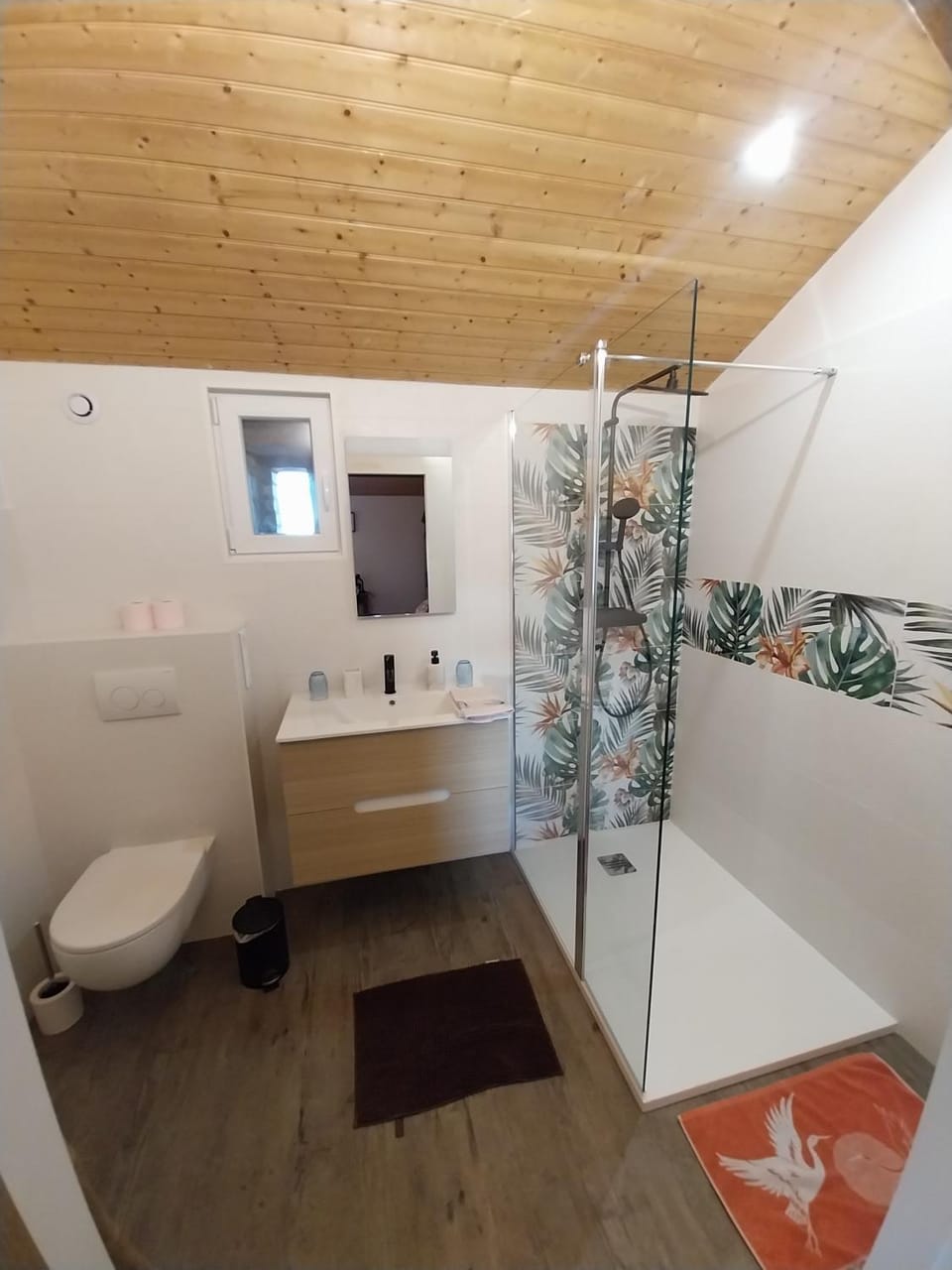 Shower, Toilet