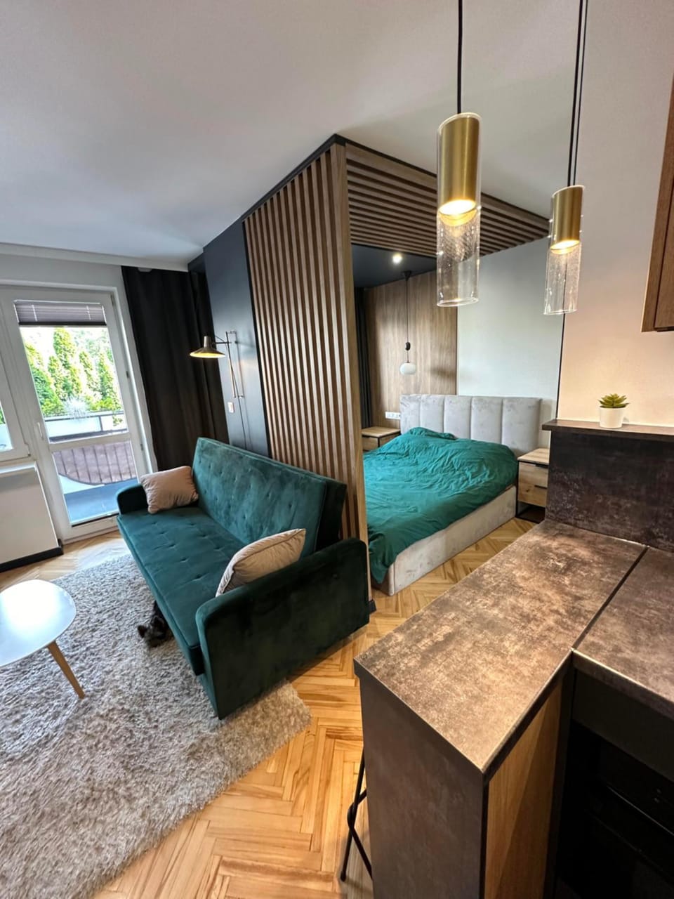 Apartament przy Parku Apartment in Poland