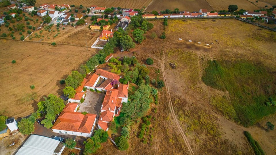 Bird's eye view, Garden