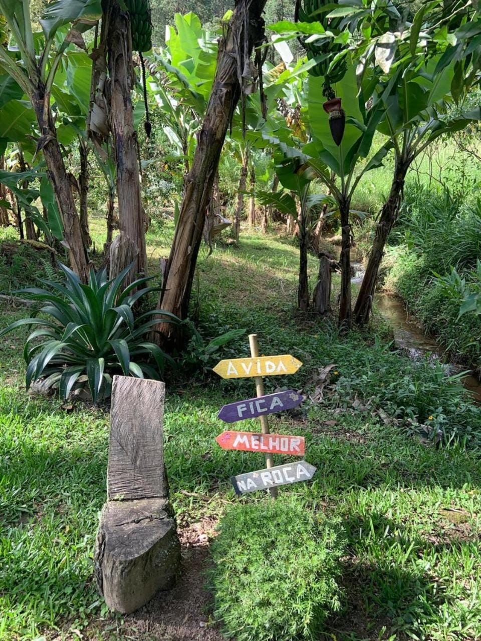 Spring, Day, Natural landscape, Garden, Garden view