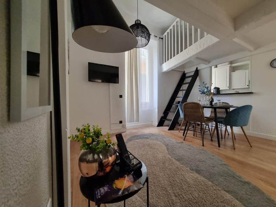 Menton centre Cosy and spacious Apartment in Menton