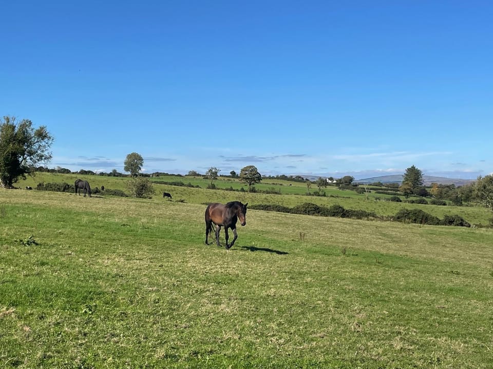 Arney Lodge Farm Bed and Breakfast in County Donegal