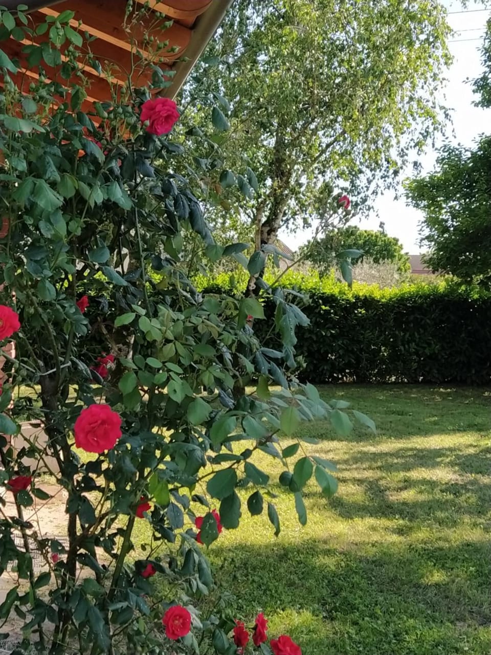 Il Casale dell'Airone House in Lombardy