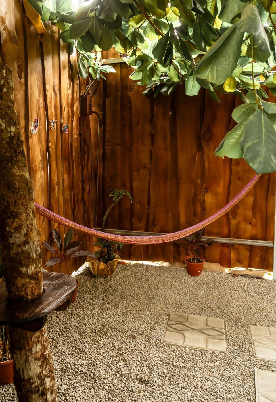 Day, Garden, Garden view