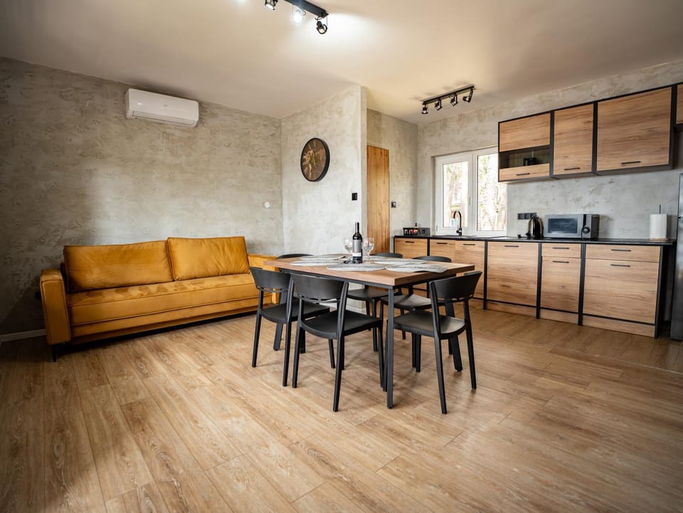 Kitchen or kitchenette, Living room, Seating area, Dining area, air conditioner