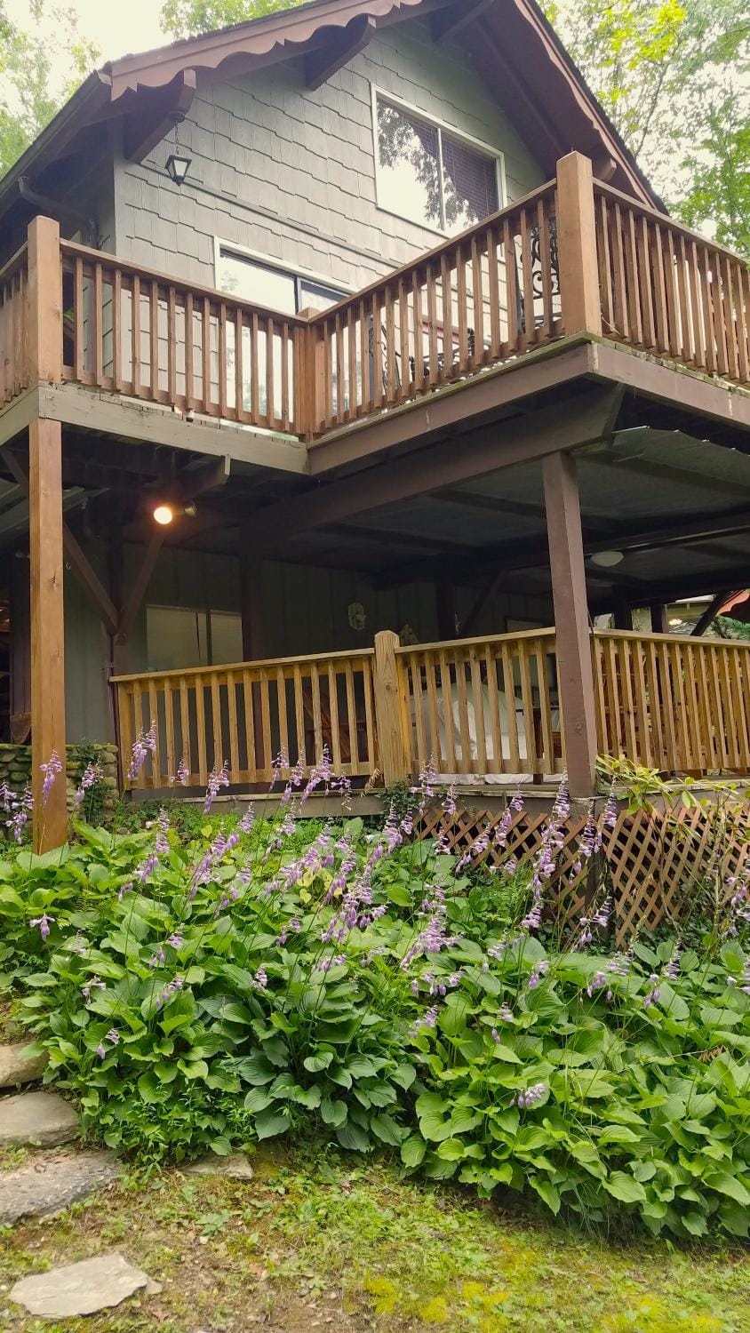 Property building, Garden view