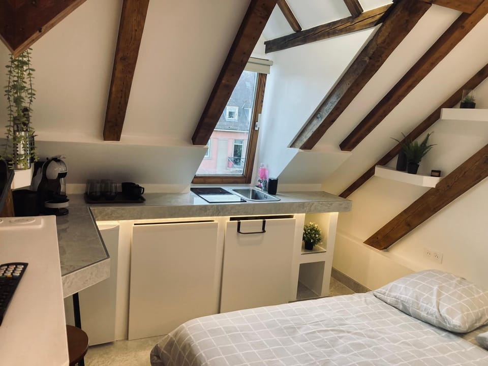 Petit nid sympa a Strasbourg Apartment in Strasbourg