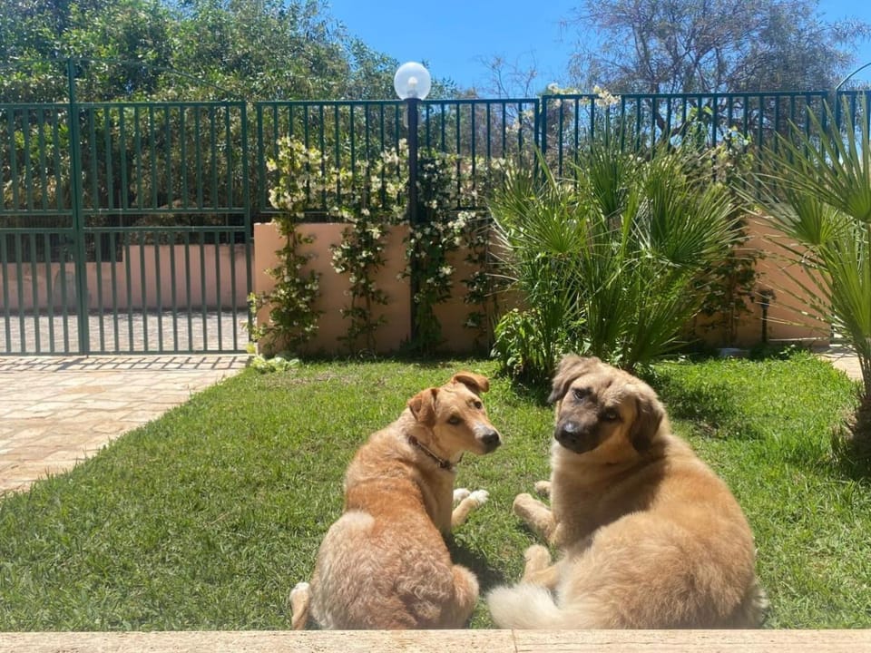 Villetta Viola Villa in San Vito Lo Capo