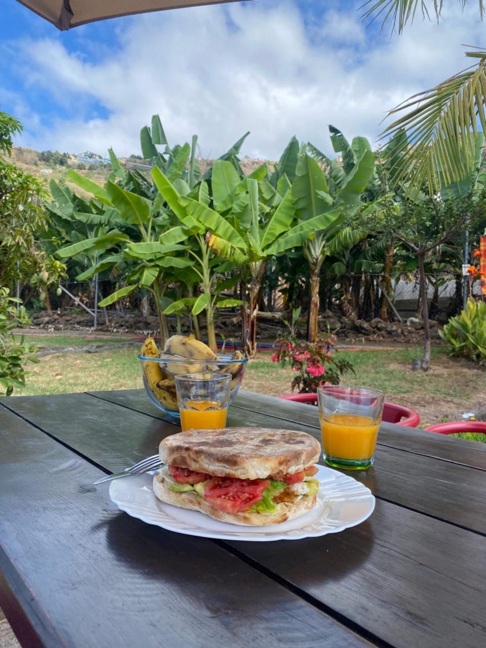 Day, Food and drinks, Garden view, Breakfast
