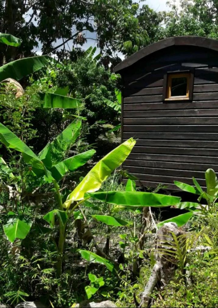 La Petite Roulotte de la Bananeraie House in Réunion
