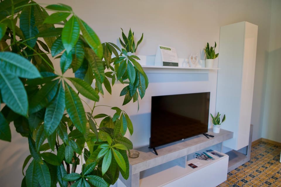 Communal lounge/ TV room, TV and multimedia, Evening entertainment