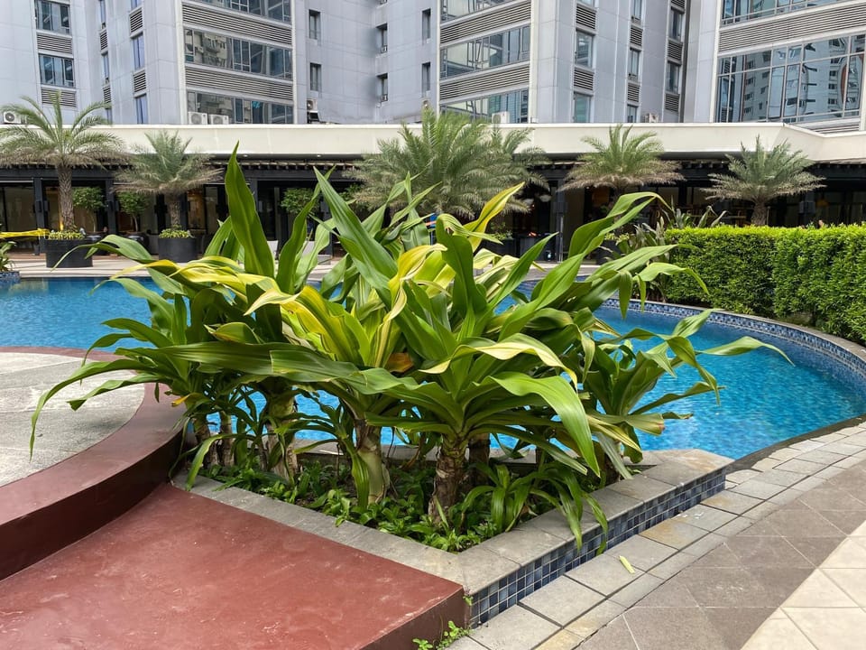 Swimming pool, Swimming pool, Swimming pool