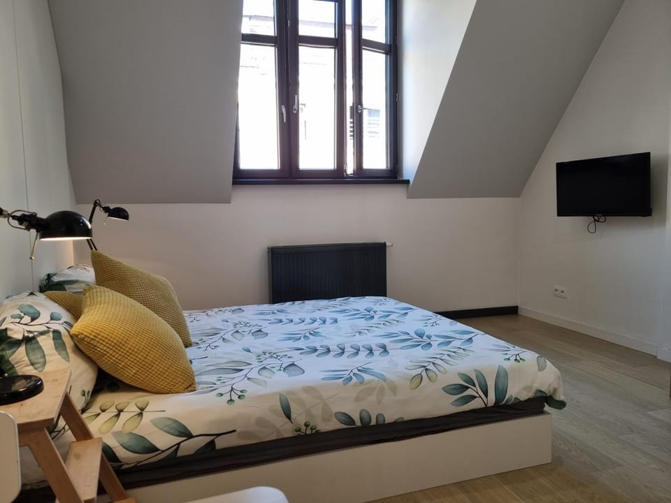 Bed, TV and multimedia, Photo of the whole room
