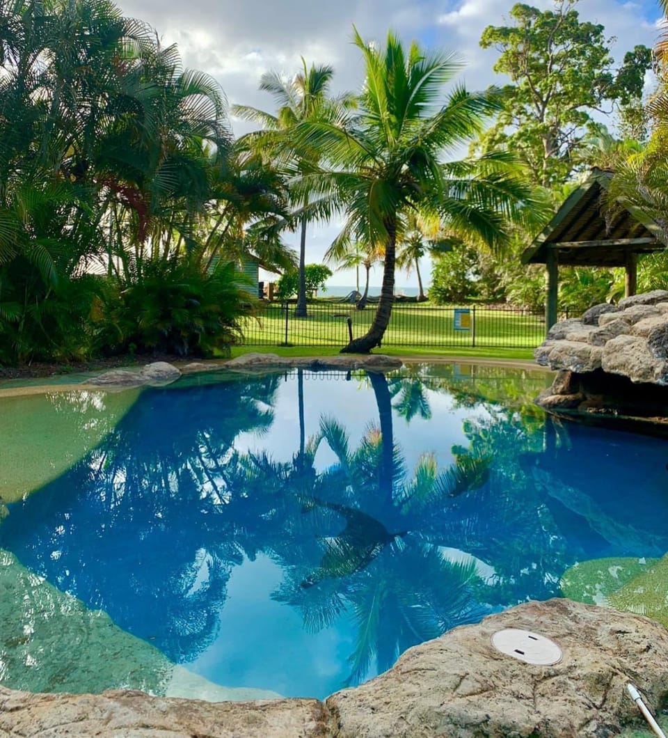 Spring, Day, Natural landscape, Garden, Garden view, Pool view, Swimming pool