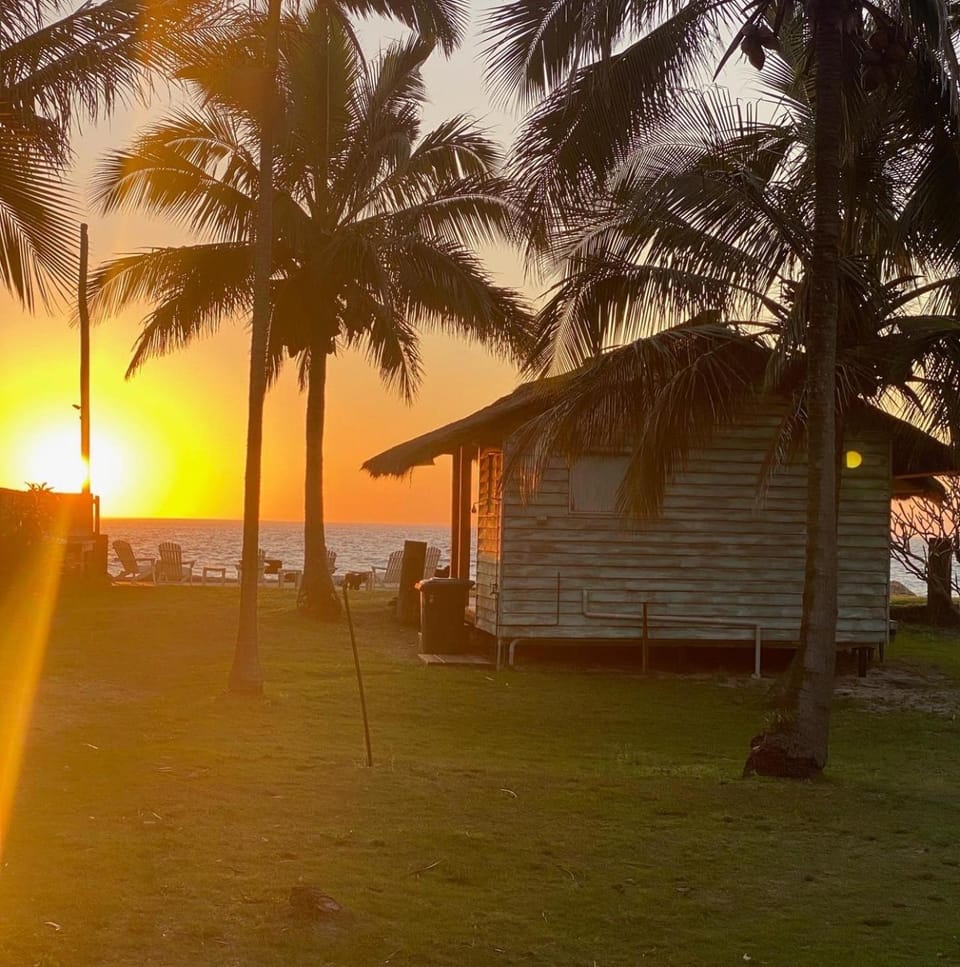 Natural landscape, Garden, Garden view, Sea view, Sunset