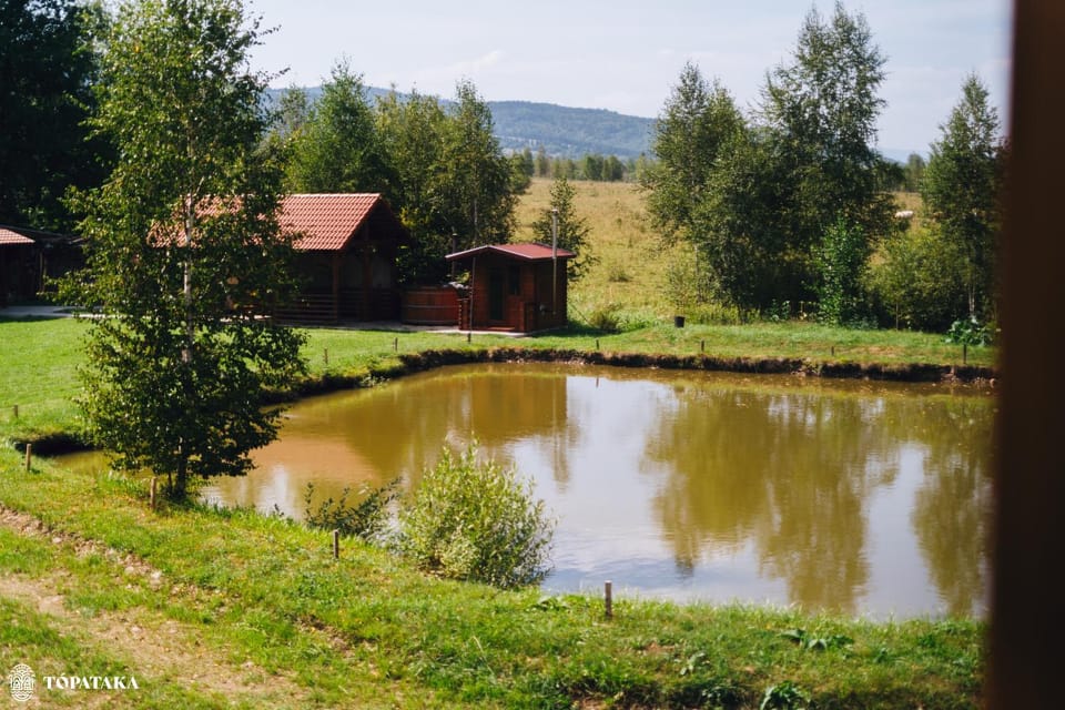 Lake view