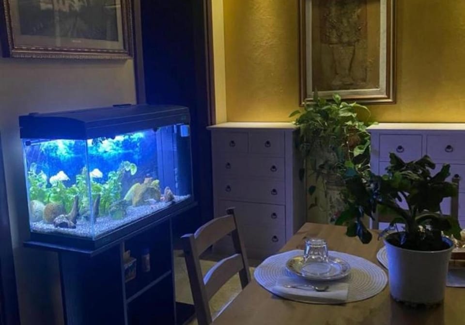 B&B Le Camelie Bed and Breakfast in Nettuno