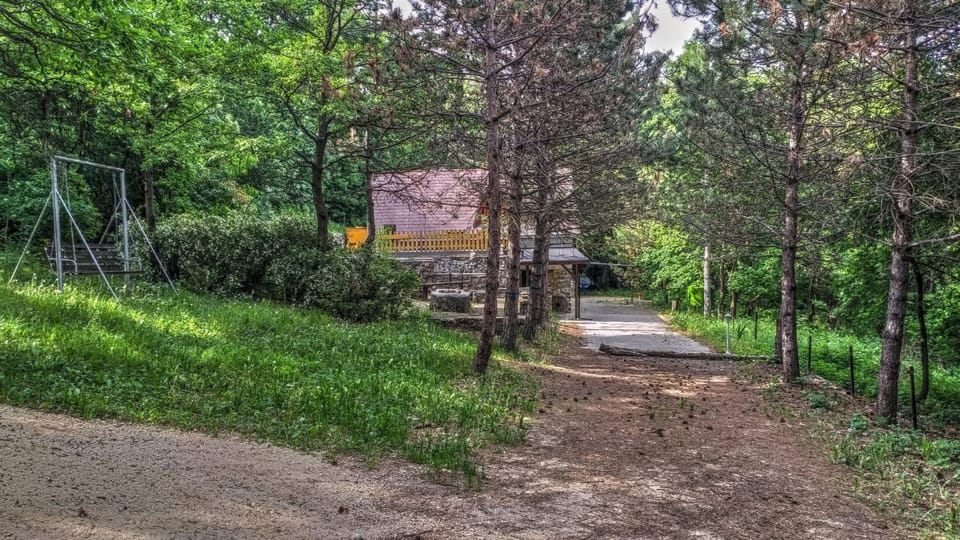 Natural landscape, Garden