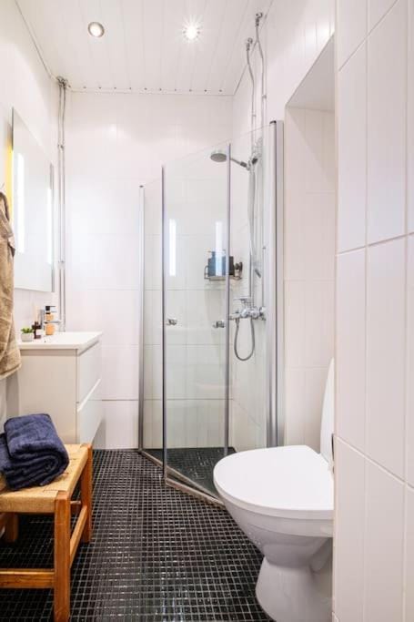 Central Lux Condo In Downtown Apartment in Helsinki