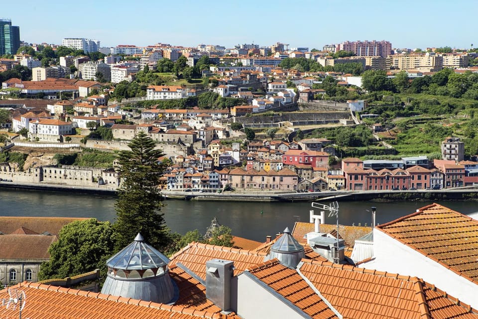 View (from property/room)