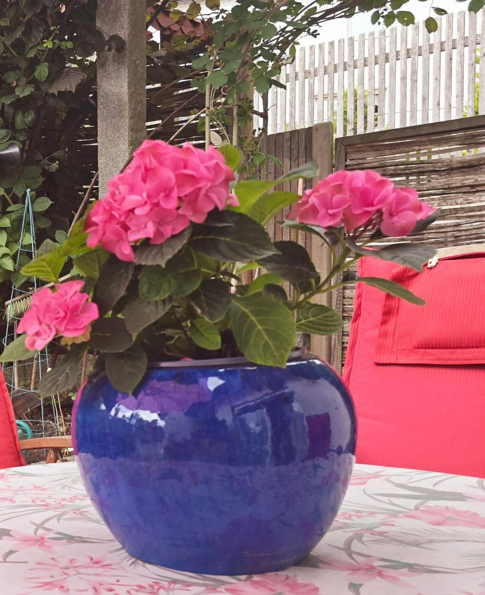 Resi's Zimmer mit Bad und Terrasse Vacation rental in Bavaria